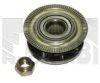 CALIBER RC9034 Wheel Bearing Kit